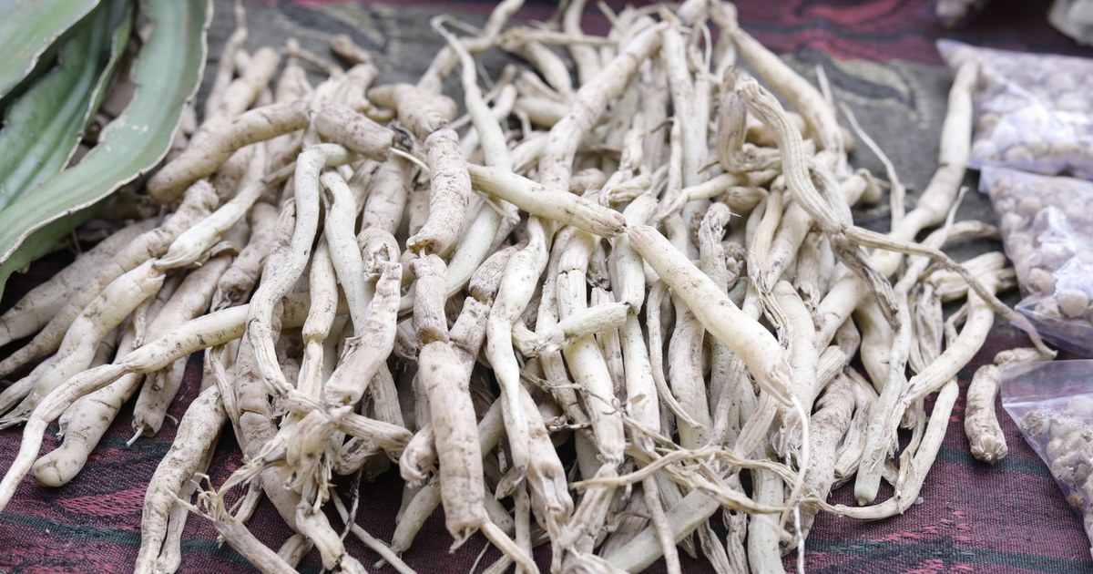 A pile of dried ashwagandha roots