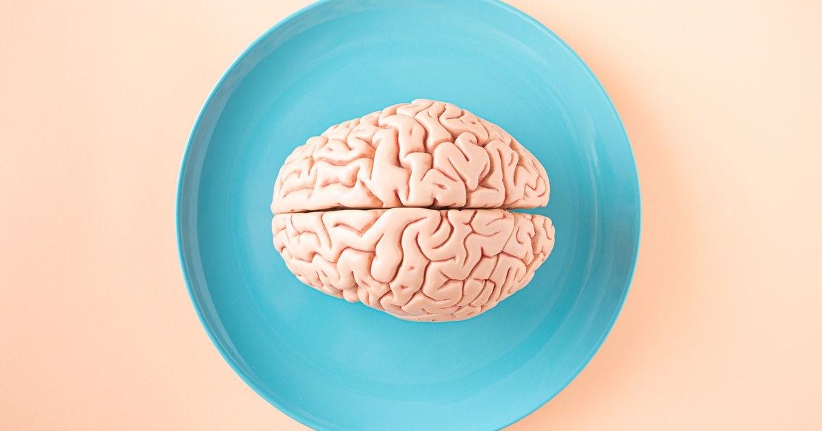 An anatomical brain model resting on a teal plate