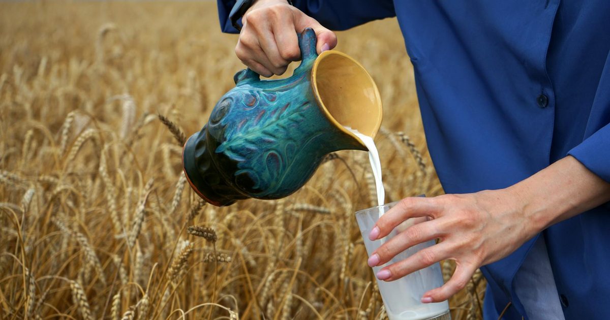 Fresh milk being poured into a glass in a sunlit field