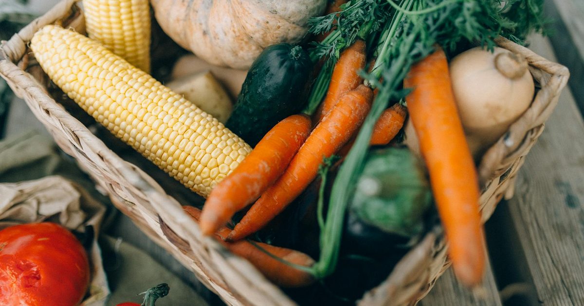 A basket of fresh organic vegetables