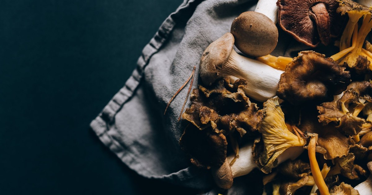 An assortment of fresh mushrooms on a dark surface