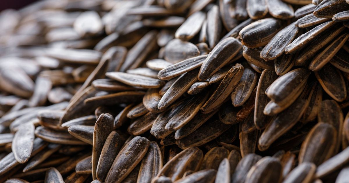 A close-up overhead heap of whole striped gray-and-tan in-shell sunflower seeds, sharp in front and softly blurred behind