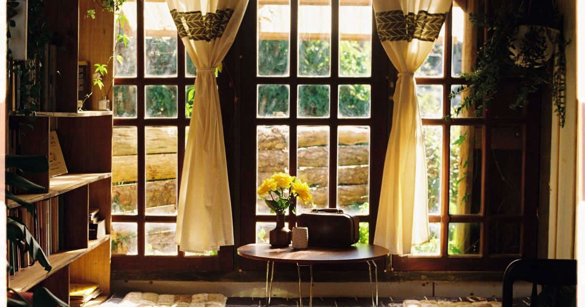 Warm sunlight streams through tall paned windows into a calm room, lighting a small round table with a vase of bright yellow flowers, a wooden bookshelf and trailing green plants beside it, and cream curtains tied back on each side
